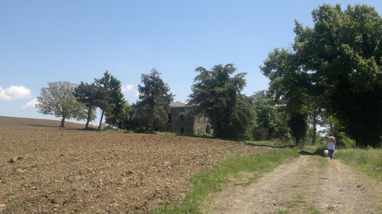 Appartamento Miralago Больсена Екстер'єр фото